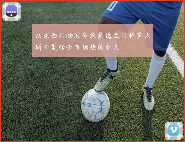 切尔西利物浦争抢桑德兰门将罗夫斯今夏转会市场热闹非凡